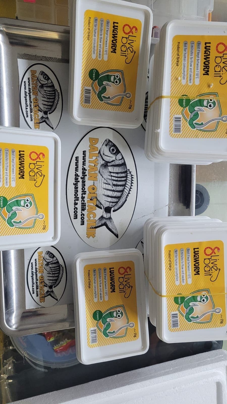 8 Live Bait (Çin Kurdu): Deniz Avının En Dayanıklı Yemi 8 Live Bait (Çin Kurdu): Deniz Avının En Dayanıklı Yemi